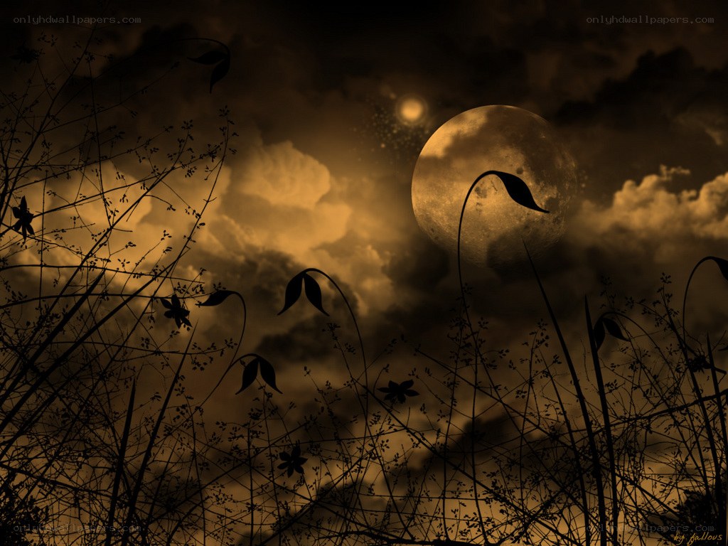 Moonlit night with silhouetted plants