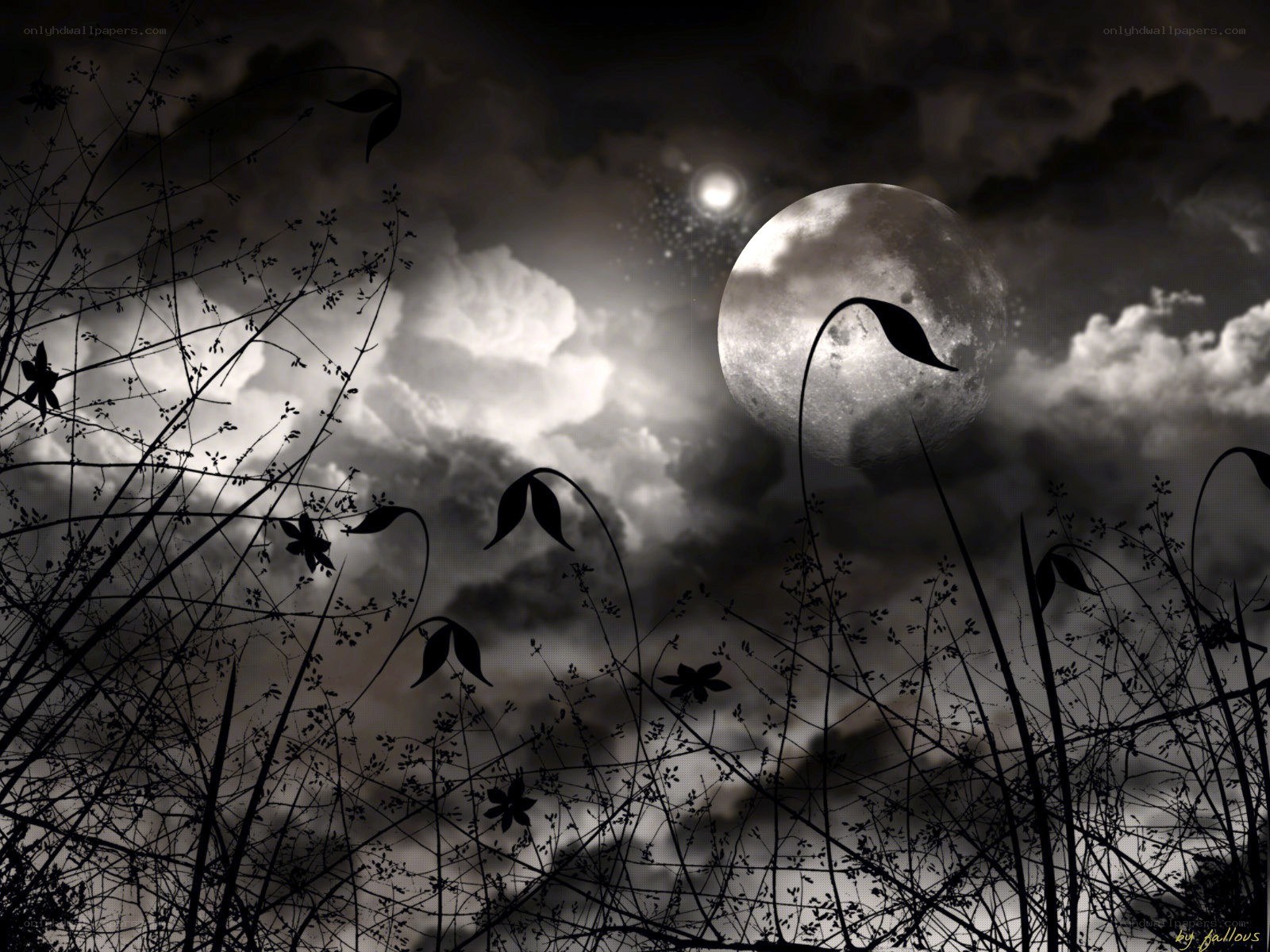Moonlit night with silhouetted plants
