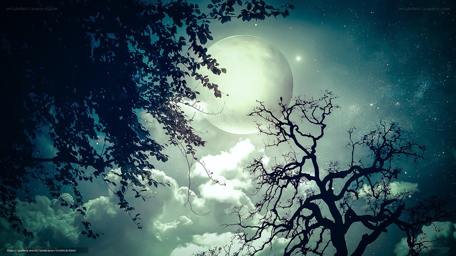 Moonlit night with silhouetted trees