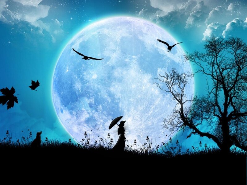 Moonlit night with silhouettes