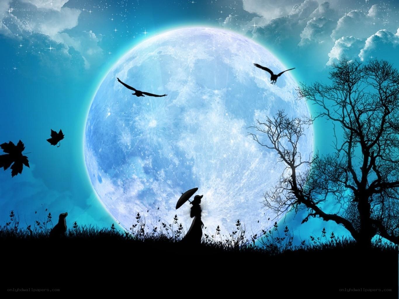 Moonlit night with silhouettes