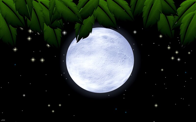 Moonlit night with stars