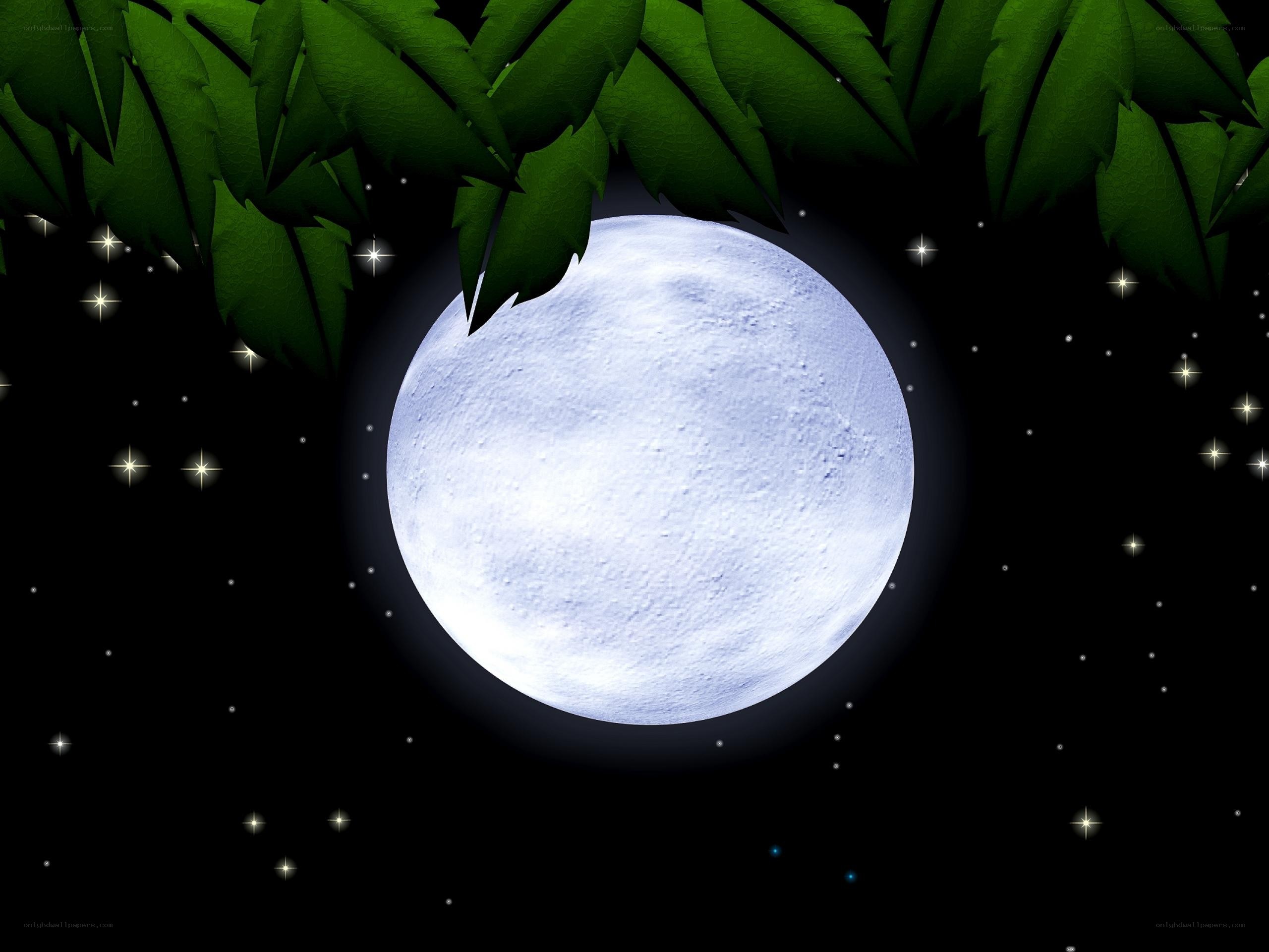 Moonlit night with stars