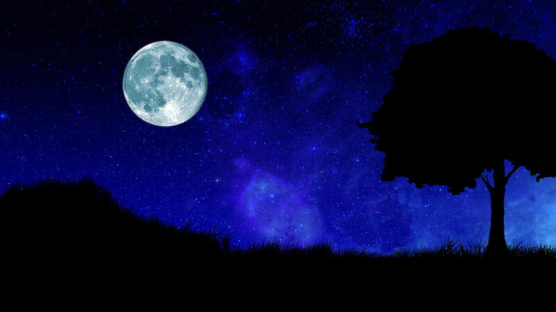 Moonlit night with tree