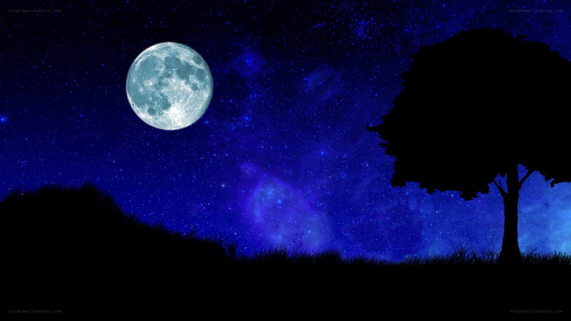 Moonlit night with tree