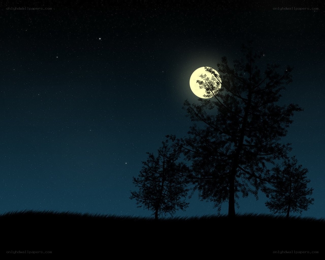 Moonlit night with trees