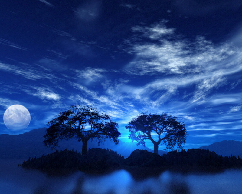 Moonlit night with trees