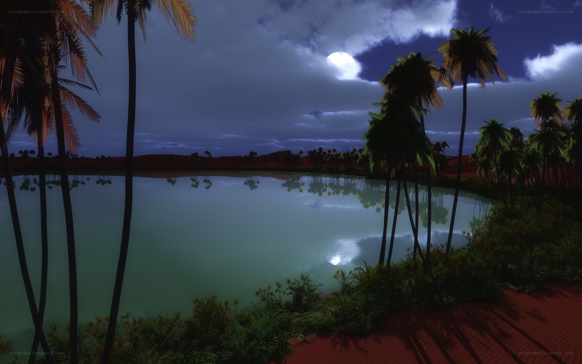 Moonlit oasis at night