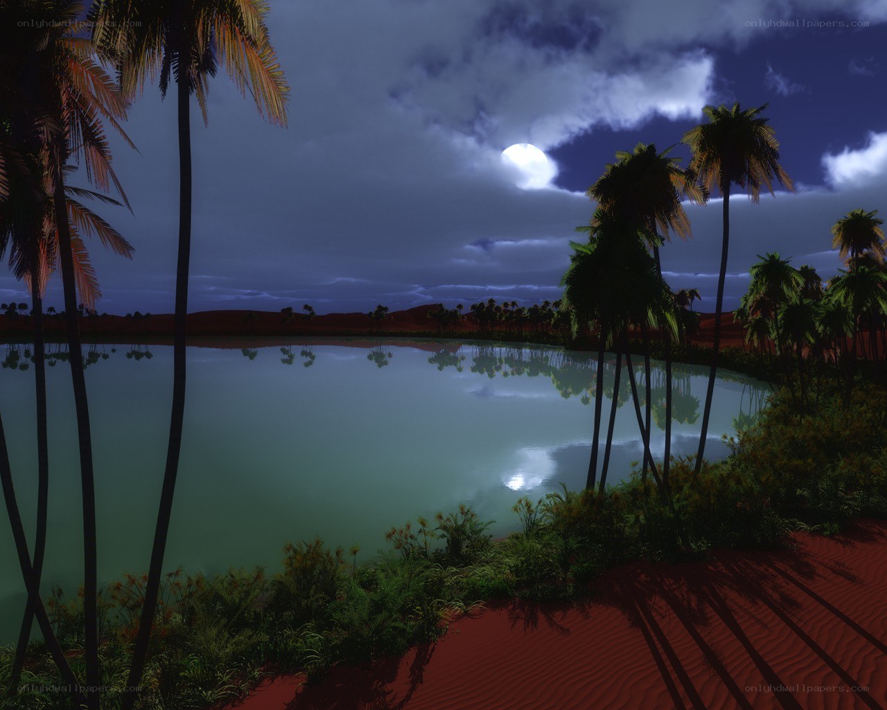 Moonlit oasis at night