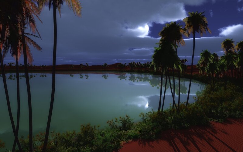 Moonlit oasis at night
