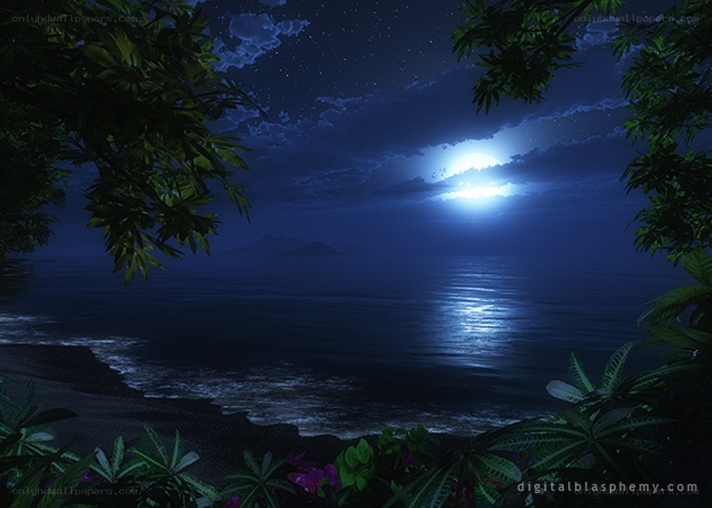 Moonlit ocean at night