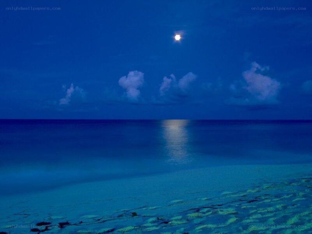 Moonlit ocean at night
