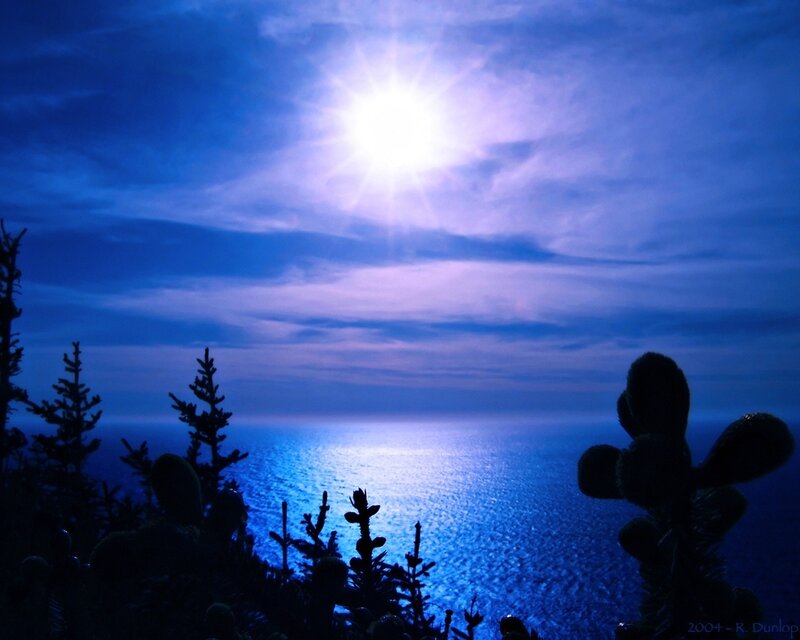 Moonlit ocean at night