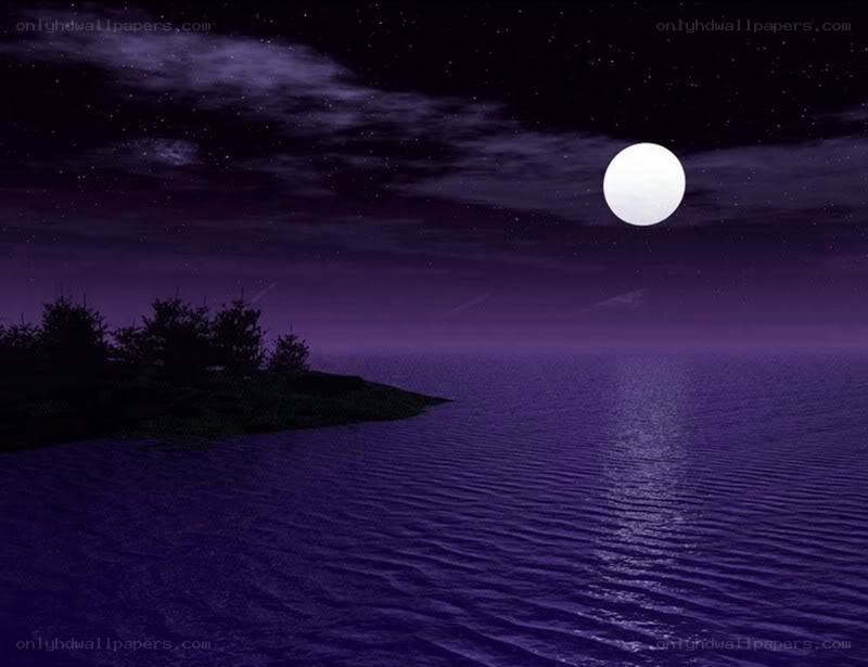 Moonlit ocean at night