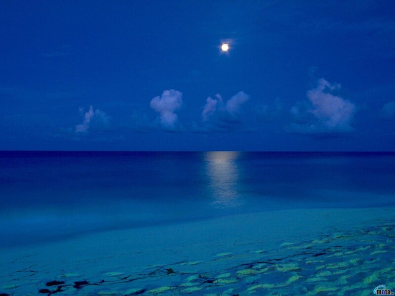 Moonlit ocean at night