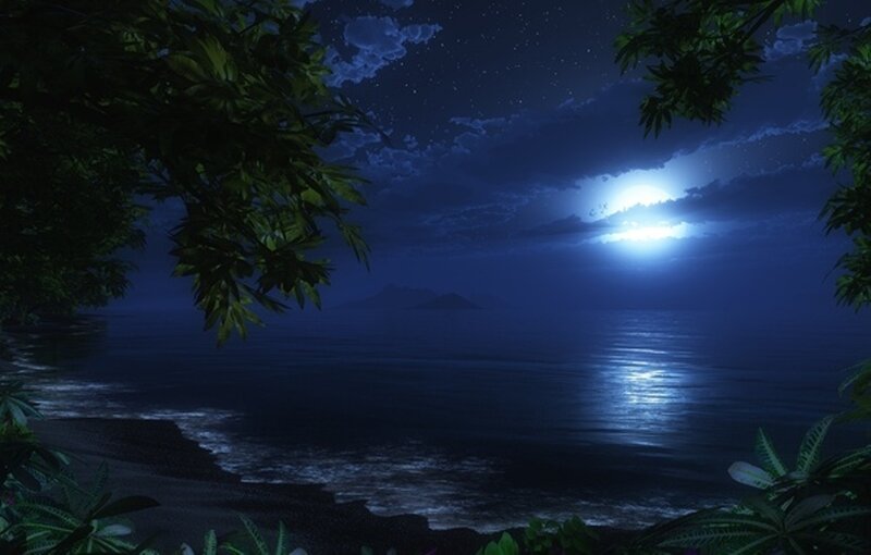 Moonlit Ocean at Night — Blue, Serene, Digital Art, Trees