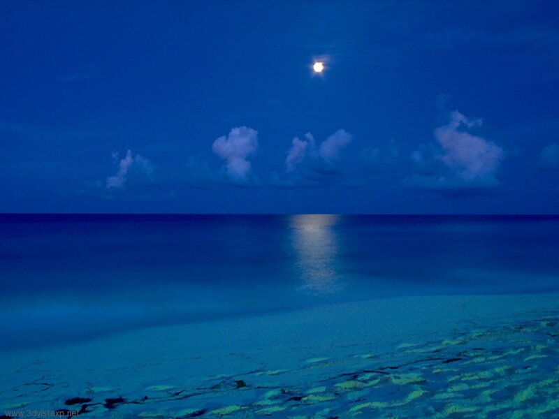 Moonlit Ocean at Night — Blue, Serene, Photograph