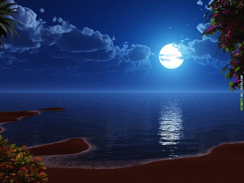 Moonlit Ocean at Night — Blue, Serene