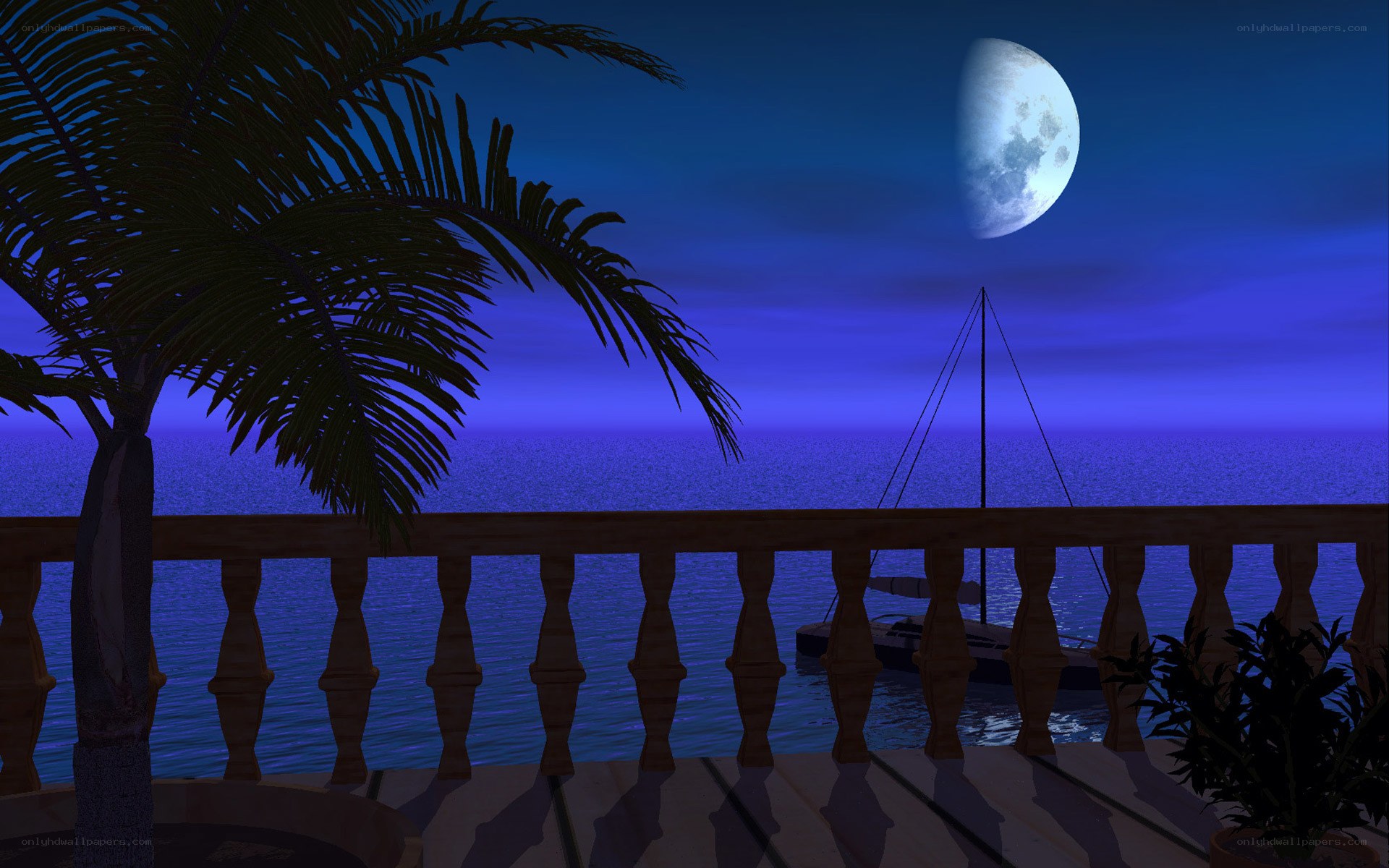 Moonlit ocean view at night