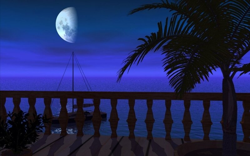 Moonlit ocean view at night