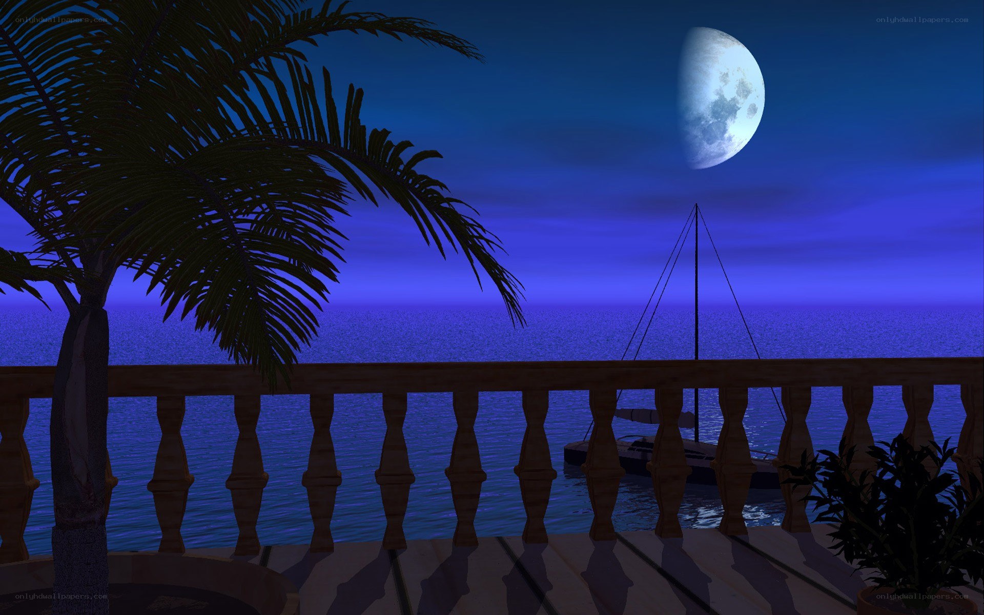 Moonlit ocean view at night