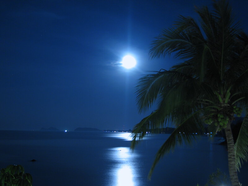 Moonlit Ocean View
