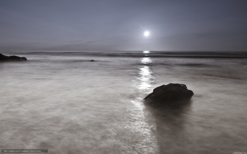 Moonlit Ocean Waves — Gray, Serene