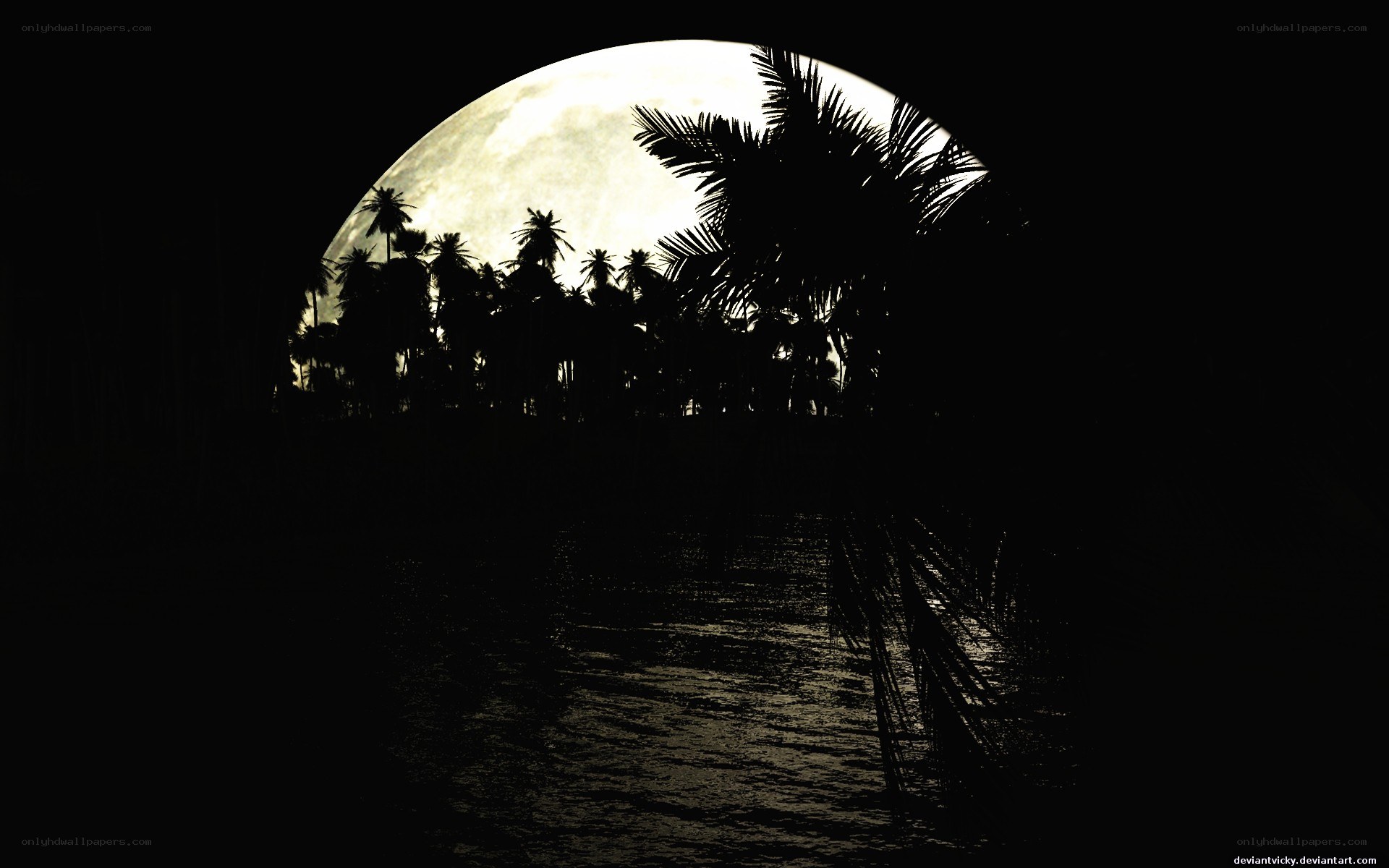 Moonlit palm trees at night