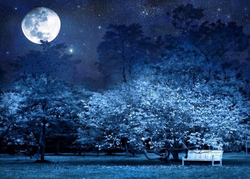 Moonlit Park Bench — Blue
