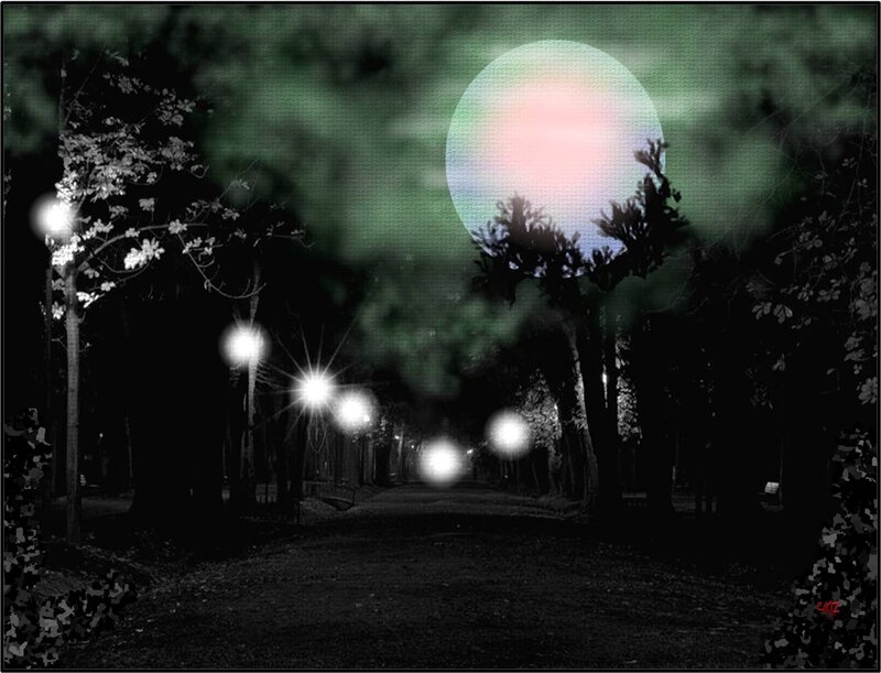 Moonlit Park Path