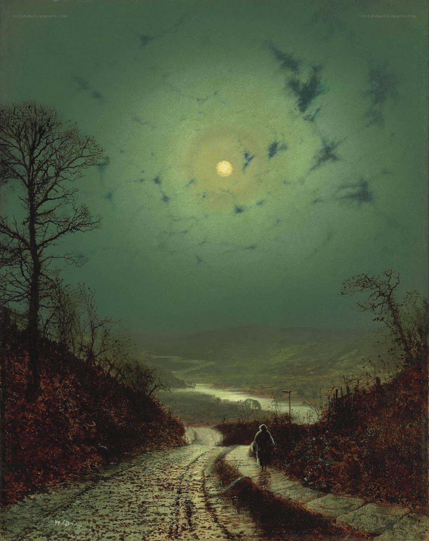 Moonlit Path at Night