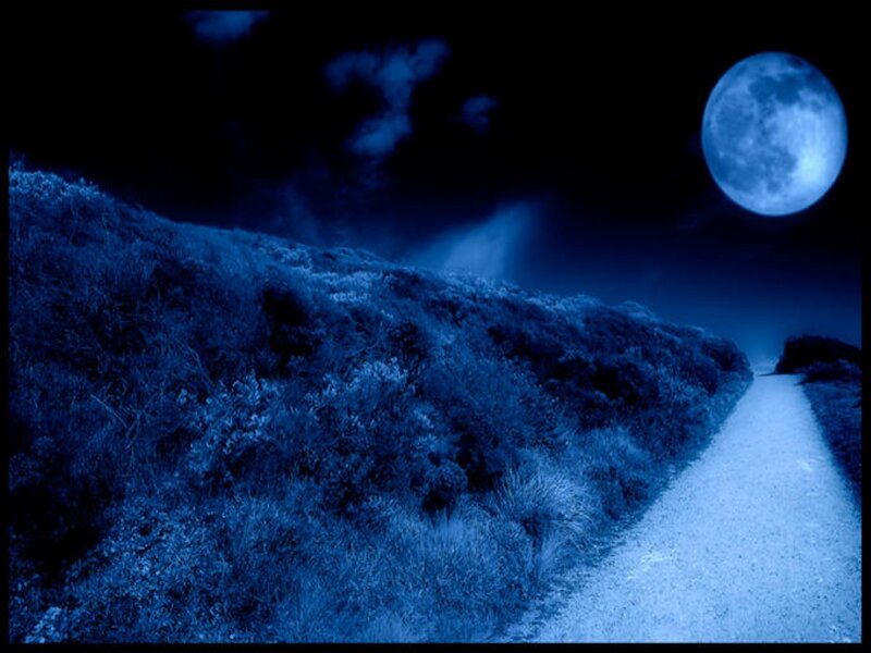 Moonlit Path at Night — Blue