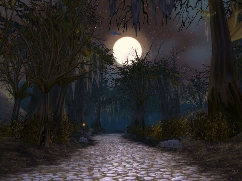 moonlit path through a spooky forest