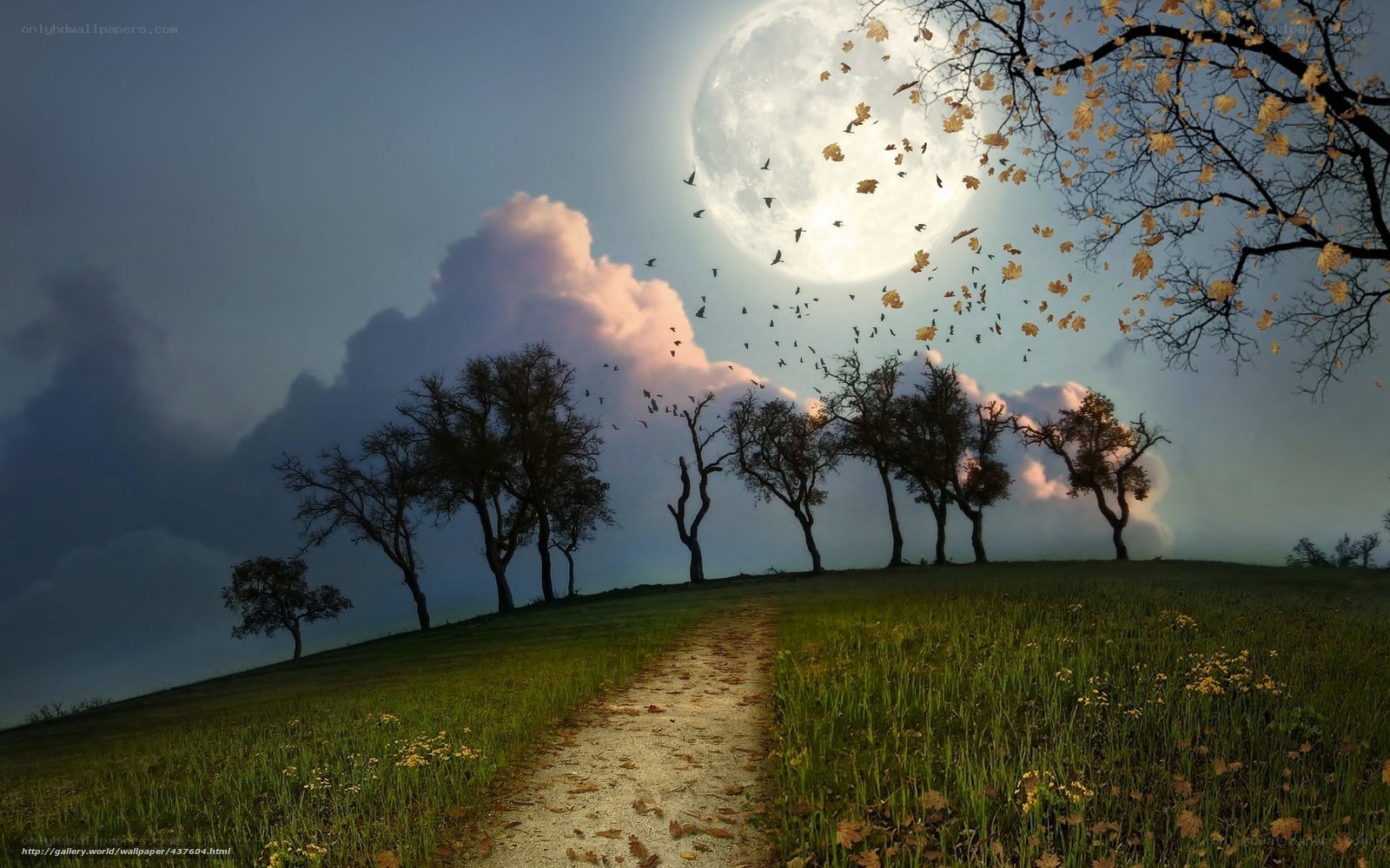 Moonlit path through autumn field