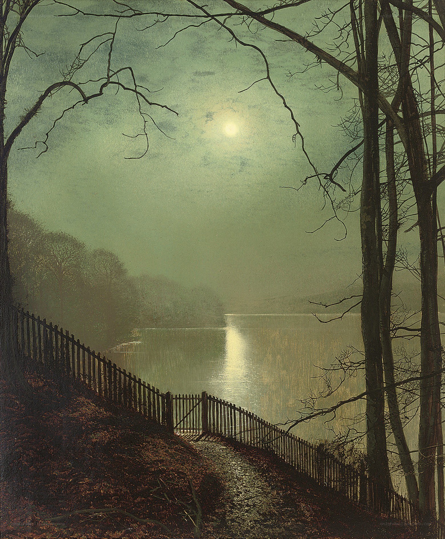 Moonlit Path to the Lake