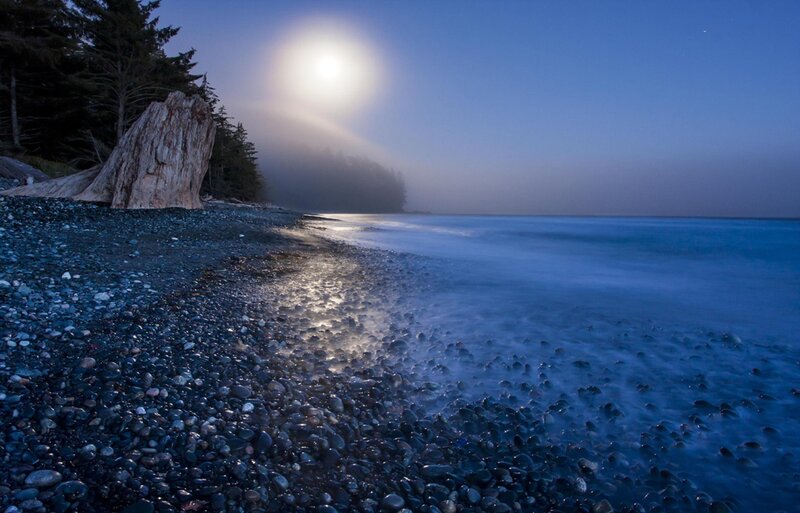 Moonlit Pebble Beach