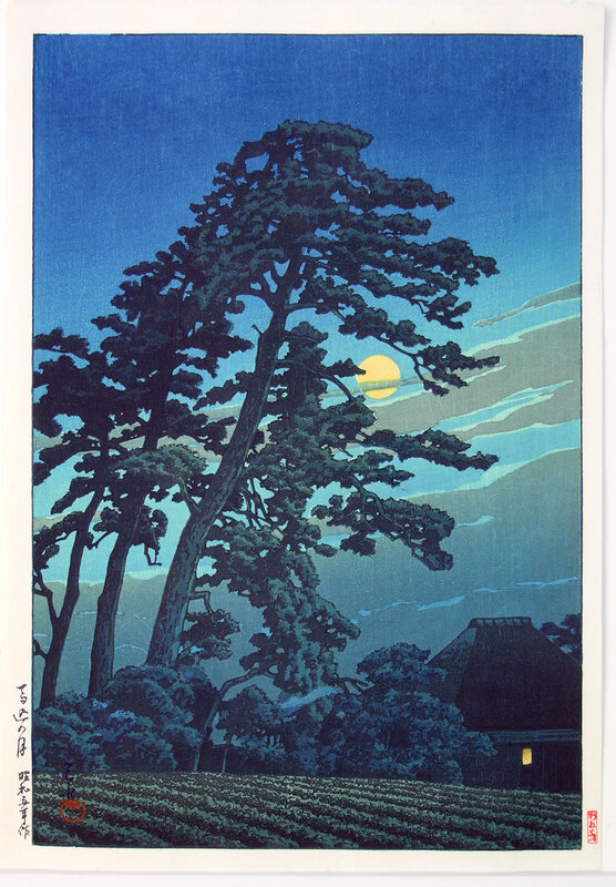 Moonlit Pine Trees at Night