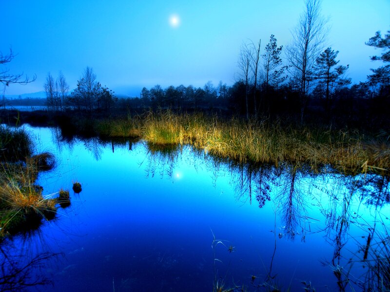Moonlit Pond at Night — Blue