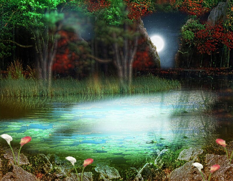 Moonlit Pond in Forest — Green