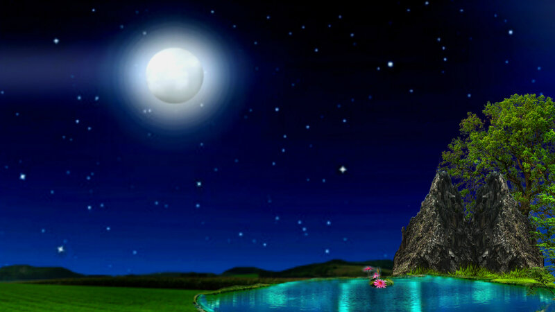 Moonlit Pond Landscape