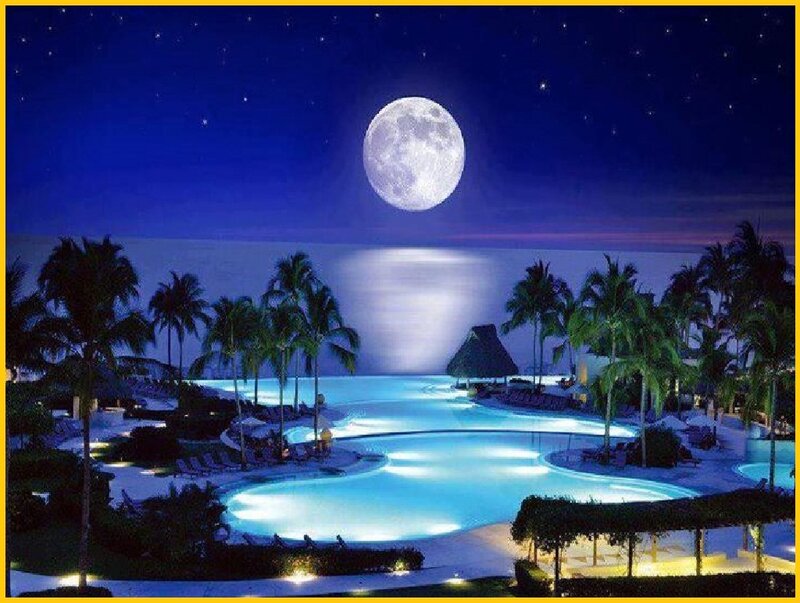 Moonlit Pool Resort