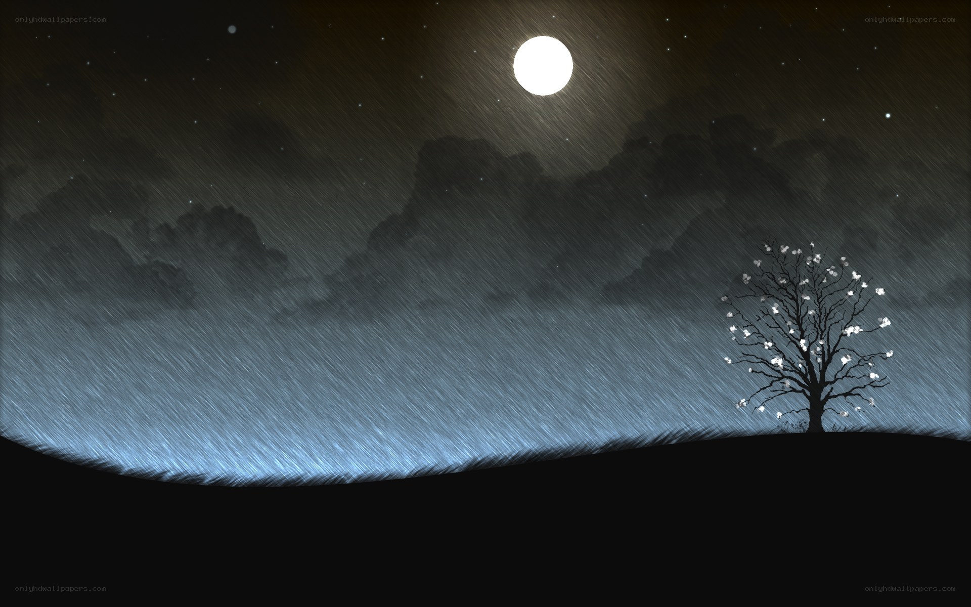 Moonlit Rainy Night Scene