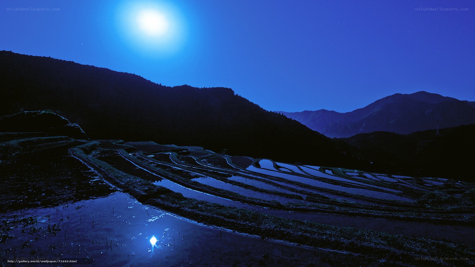 Moonlit rice terraces at night