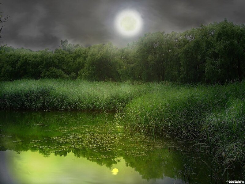 Moonlit River at Night — Green, Serene
