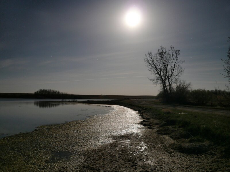 Moonlit River Bend