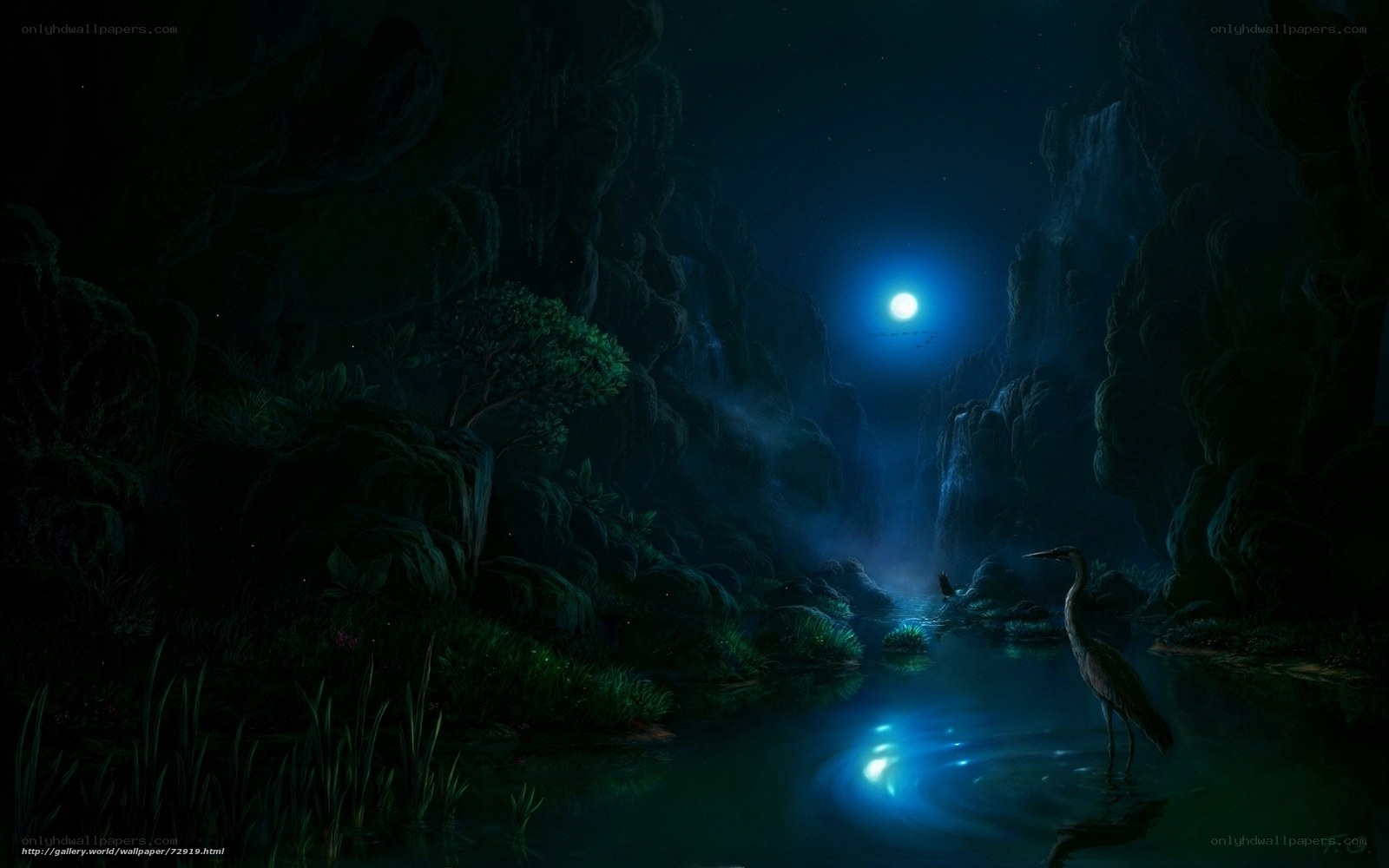 Moonlit river in a canyon