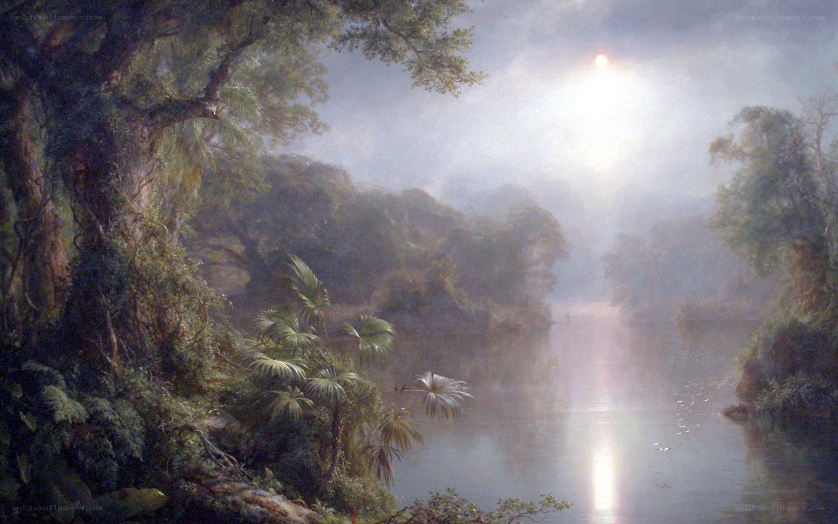 Moonlit River in a Tropical Forest