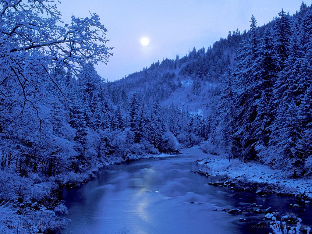 Moonlit river in snowy forest