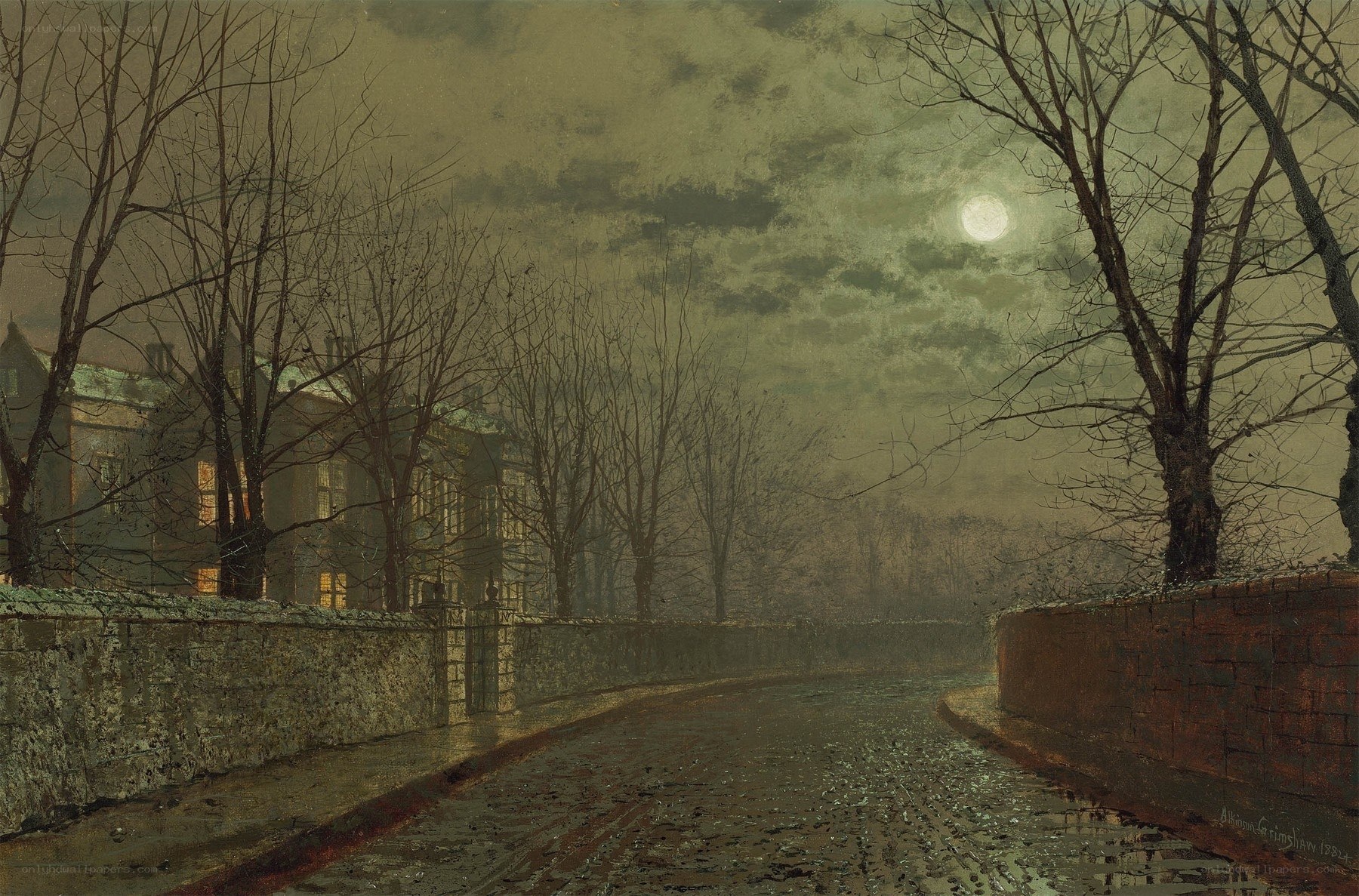 Moonlit Road at Night