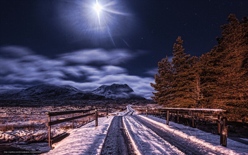 Moonlit Road in Winter